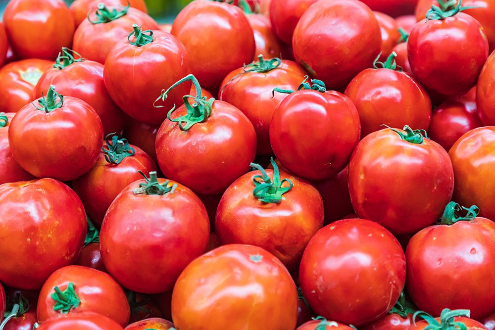 Khujand-Sughd Province-Tajikistan Fresh tomatoes for sale at the Panjshanbe Bazaar in Khujand